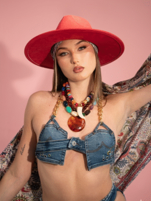 Summer Candy Denim Top